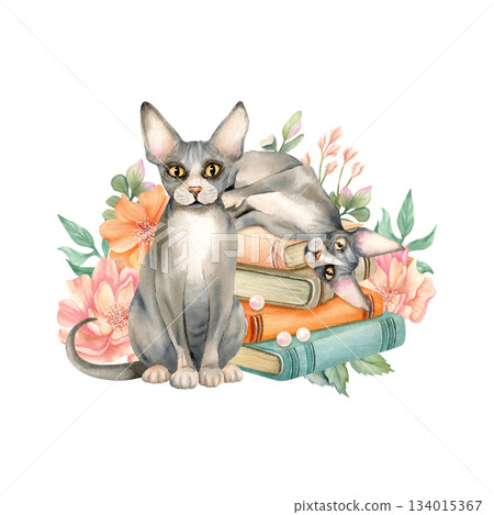 Two sphynx cat is lying on stack of books and stand with delicate flowers behind. Cozy spring composition with cute Sphinx kitty on old literature. Watercolor illustration isolated from background 134015367