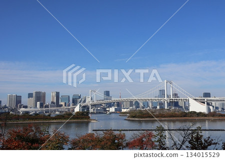 View of Rainbow Bridge and Daiba Park (Minato Ward, Tokyo) View of Rainbow Bridge and Daiba Park (Minato Ward, Tokyo) 134015529