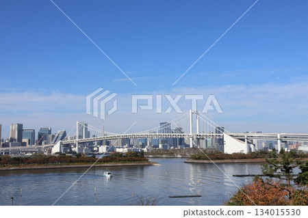 View of Rainbow Bridge and Daiba Park (Minato Ward, Tokyo) View of Rainbow Bridge and Daiba Park (Minato Ward, Tokyo) 134015530