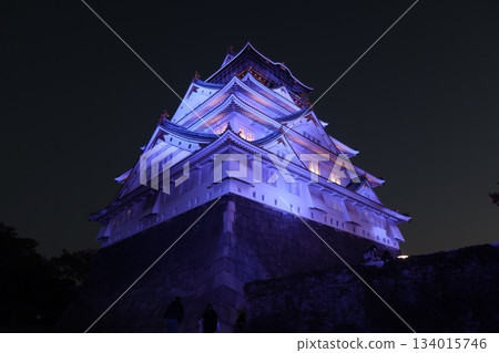 Osaka Castle Autumn Light-up 134015746