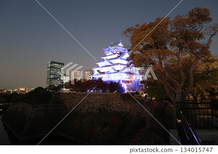 Osaka Castle Autumn Light-up 134015747