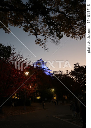 大阪城秋季燈光秀 134015748