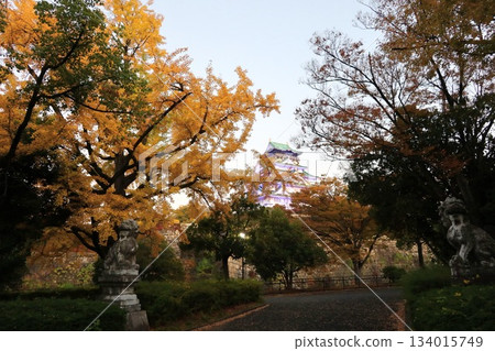 Osaka Castle Autumn Light-up 134015749