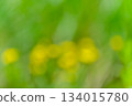 Green and yellow soft bokeh abstract background 134015780