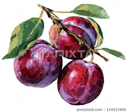 plum 134015806
