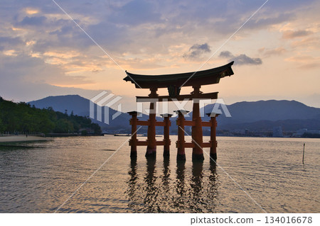 【廣島縣宮島市】嚴島神社,大鳥居,日落,魔幻時刻 【廣島縣宮島市】嚴島神社,大鳥居,日落,魔幻時刻 134016678