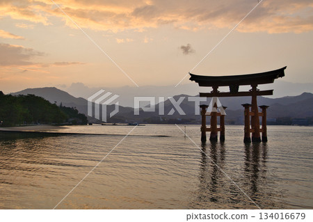 【廣島縣宮島市】嚴島神社,大鳥居,日落,魔幻時刻 【廣島縣宮島市】嚴島神社,大鳥居,日落,魔幻時刻 134016679