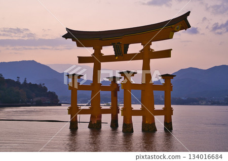 【廣島縣宮島市】嚴島神社，大鳥居，日落，魔幻時刻 134016684