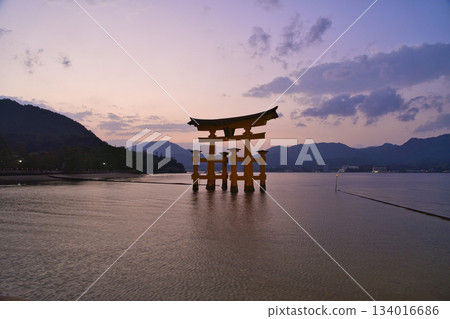 [Hiroshima Prefecture, Miyajima] Itsukushima Shrine, Great Torii Gate, Sunset, Magic Hour 134016686