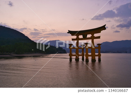 【廣島縣宮島市】嚴島神社,大鳥居,日落,魔幻時刻 【廣島縣宮島市】嚴島神社,大鳥居,日落,魔幻時刻 134016687