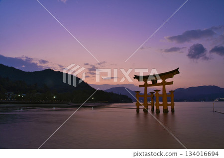 【廣島縣宮島市】嚴島神社,大鳥居,日落,魔幻時刻 【廣島縣宮島市】嚴島神社,大鳥居,日落,魔幻時刻 134016694