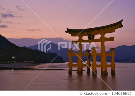 【廣島縣宮島市】嚴島神社,大鳥居,日落,魔幻時刻 【廣島縣宮島市】嚴島神社,大鳥居,日落,魔幻時刻 134016695