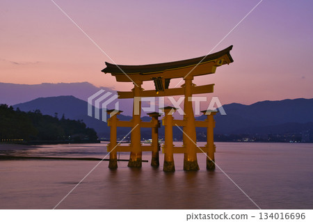 [Hiroshima Prefecture, Miyajima] Itsukushima Shrine, Great Torii Gate, Sunset, Magic Hour 134016696
