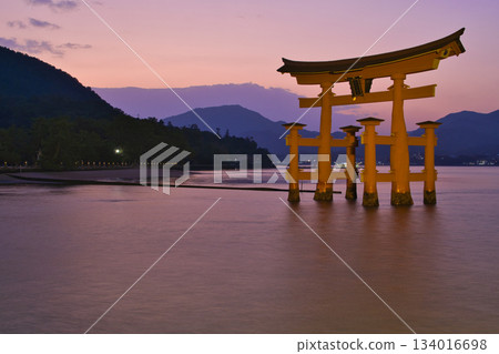 【廣島縣宮島市】嚴島神社，大鳥居，日落，魔幻時刻 134016698