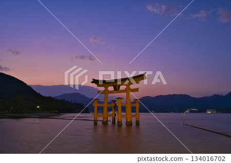 [Hiroshima Prefecture, Miyajima] Itsukushima Shrine, Great Torii Gate, Sunset, Magic Hour 134016702