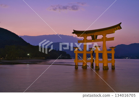 【廣島縣宮島市】嚴島神社，大鳥居，日落，魔幻時刻 134016705