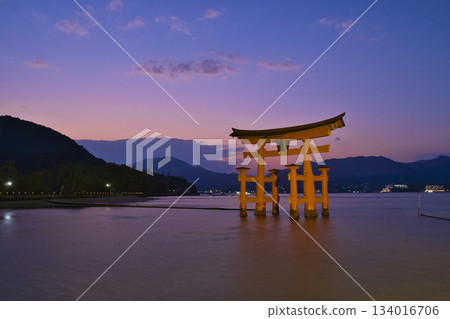 【廣島縣宮島市】嚴島神社，大鳥居，日落，魔幻時刻 134016706