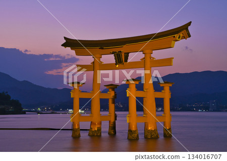 【廣島縣宮島市】嚴島神社，大鳥居，日落，魔幻時刻 134016707