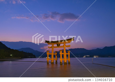 [Hiroshima Prefecture, Miyajima] Itsukushima Shrine, Great Torii Gate, Sunset, Magic Hour 134016710
