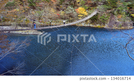 Sumata Gorge Yume no Tsuribashi 134016714