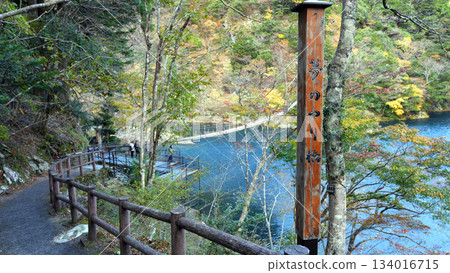 Sumata Gorge Yume no Tsuribashi 134016715