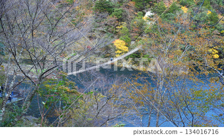 Sumata Gorge Yume no Tsuribashi 134016716