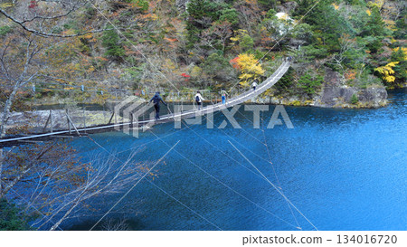 須磨峽夢之橋 134016720