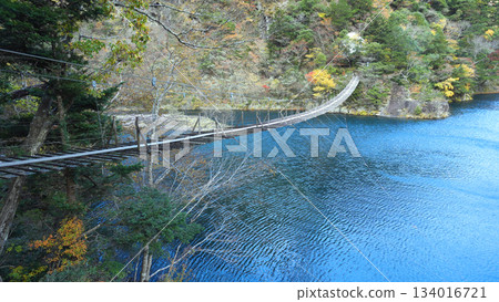 Sumata Gorge Yume no Tsuribashi Sumata Gorge Yume no Tsuribashi 134016721