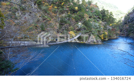 須磨峽夢之橋 須磨峽夢之橋 134016724