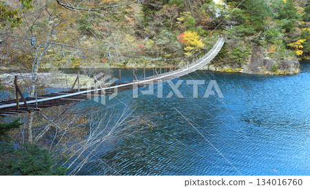 Sumata Gorge Yume no Tsuribashi 134016760