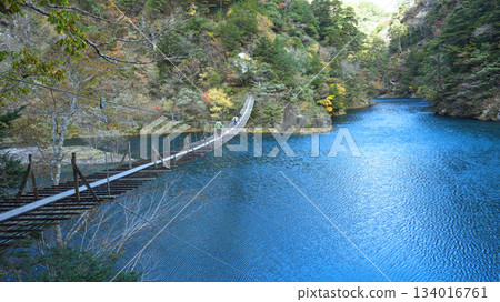 Sumata Gorge Yume no Tsuribashi 134016761