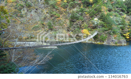 須磨峽夢之橋 134016763