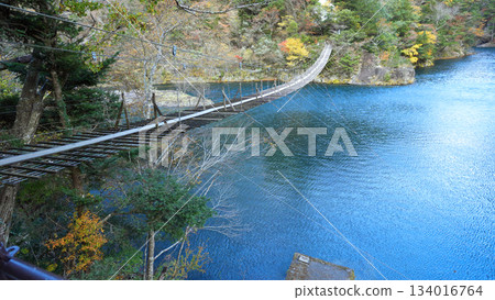 Sumata Gorge Yume no Tsuribashi 134016764