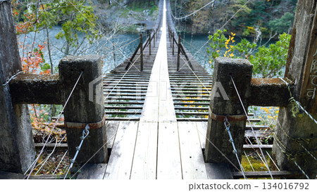 Sumata Gorge Yume no Tsuribashi 134016792
