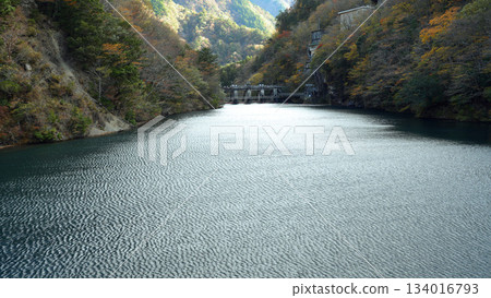Sumata Gorge Yume no Tsuribashi 134016793