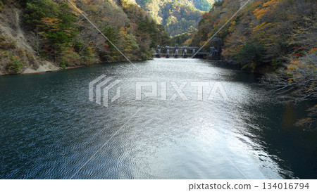 Sumata Gorge Yume no Tsuribashi 134016794