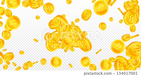 Bitcoin coins falling. Cryptocurrency scattered gold BTC coins. Internet currency. Great business success concept. Wide vector illustration. Bitcoin coins falling. Cryptocurrency scattered gold BTC coins. Internet currency. Great business success concept. Wide vector illustration. 134017001