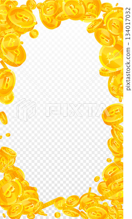 Bitcoin coins falling. Cryptocurrency scattered gold BTC coins. Internet currency. Great business success concept. Vector illustration. 134017032