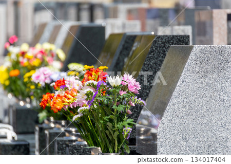 A scene of rows of gravestones in a Japanese cemetery. Colorful Buddhist flowers offered. 134017404