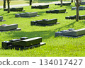 A cemetery scene with Western-style gravestones in a Japanese lawn cemetery. 134017427