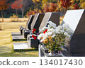 Autumn cemetery scenery. Image of rows of gravestones 134017430
