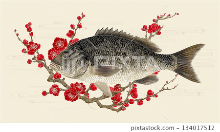 A Japanese-style illustration depicting a branch of red plum blossoms and a black sea bream on a beige background A Japanese-style illustration depicting a branch of red plum blossoms and a black sea bream on a beige background 134017512