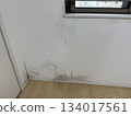 Room mold 134017561