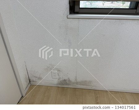 Room mold Room mold 134017561