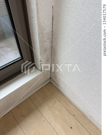 Room mold 134017579
