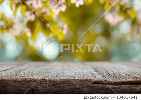 Abstract blurred green spring grass background 134017641