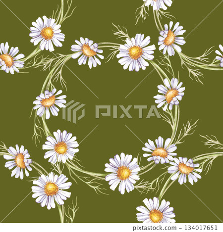 Seamless pattern with white daisies on a green background. Watercolor illustration with realistic wildflowers gathered in a round wreath. A summer botanical template for wallpaper, textiles, and Seamless pattern with white daisies on a green background. Watercolor illustration with realistic wildflowers gathered in a round wreath. A summer botanical template for wallpaper, textiles, and 134017651