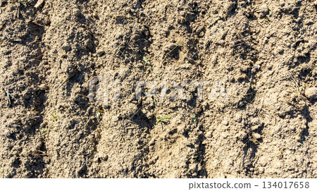 Agricultural machinery tracks on a field, soil in a field with tracks from turnip harvesting. Agricultural machinery tracks on a field, soil in a field with tracks from turnip harvesting. 134017658