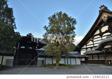 東福寺：九里、北條唐門（京都市東山區） 134018111