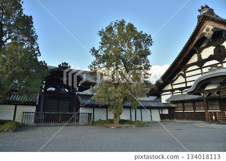 東福寺：九里、北條唐門（京都市東山區） 134018113